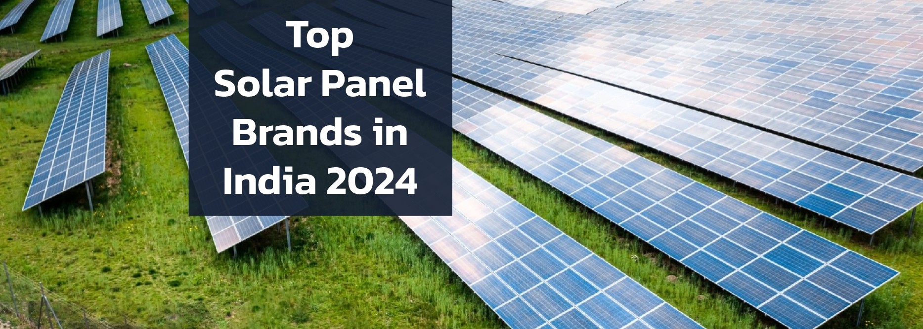 Top Solar Panel Brands in India 2024